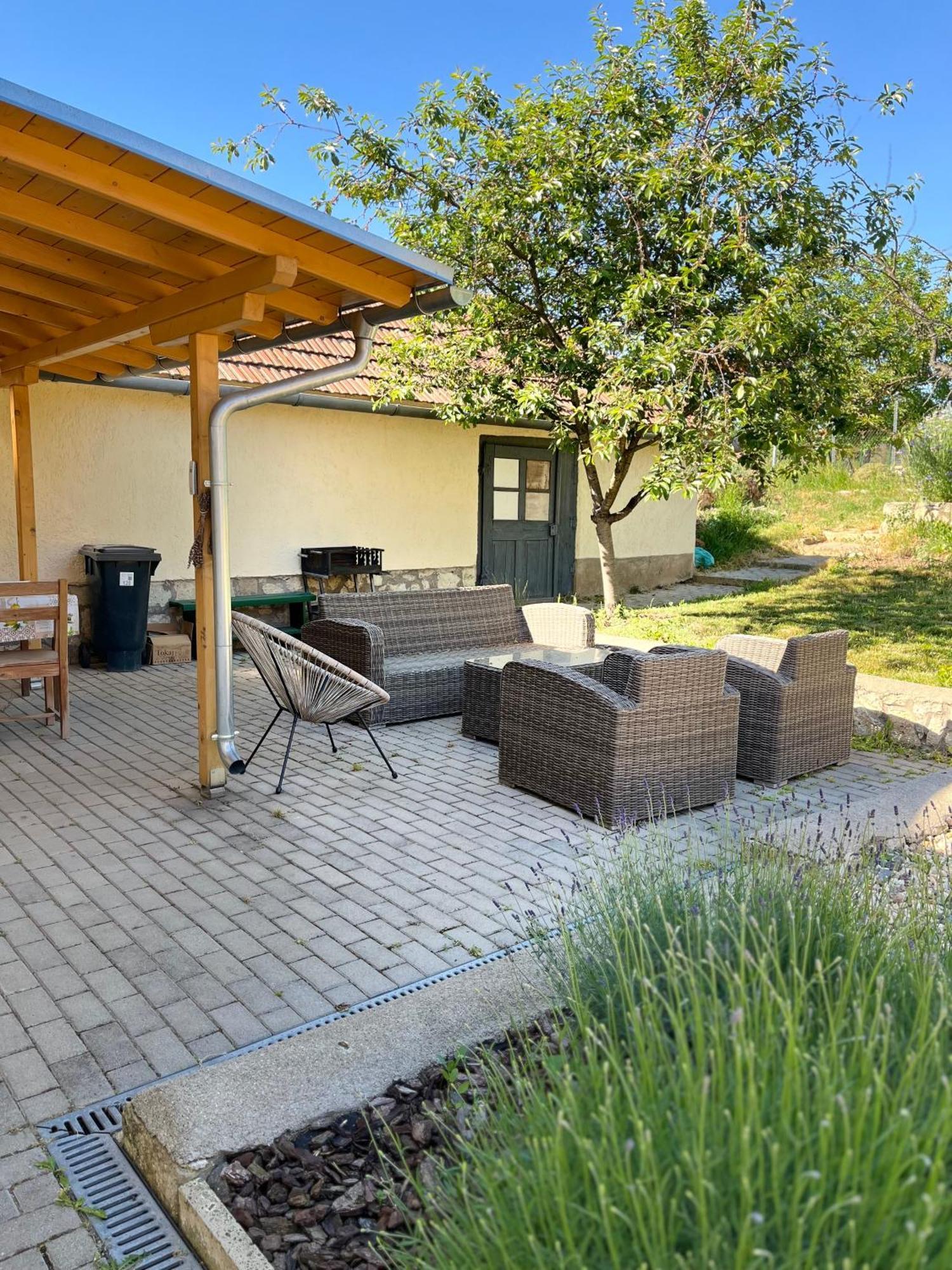 Angelina Vendeghaz Apartment Tarcal Exterior photo